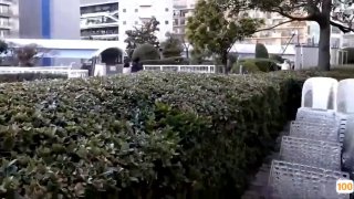 三级在线观看视频免费c在线观看韩国三级中文字幕